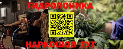 ГАЛЛЮЦИНОГЕННЫЕ ГРИБЫ Моздок