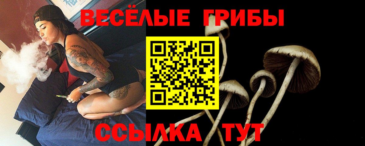 Якутск  Галлюциногенные грибы Cubensis  Вход с VPN 
